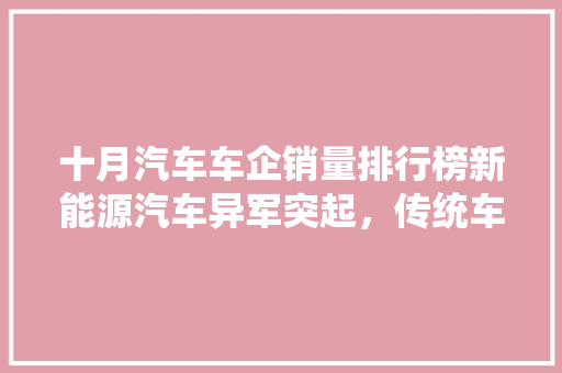 十月汽车车企销量排行榜新能源汽车异军突起，传统车企面临挑战  第1张