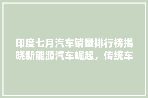 印度七月汽车销量排行榜揭晓新能源汽车崛起，传统车企面临挑战