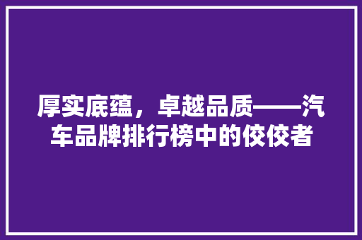 厚实底蕴，卓越品质——汽车品牌排行榜中的佼佼者  第1张