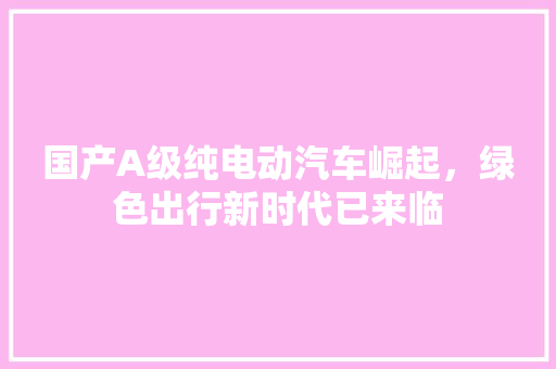 国产A级纯电动汽车崛起，绿色出行新时代已来临