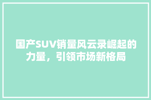 国产SUV销量风云录崛起的力量，引领市场新格局