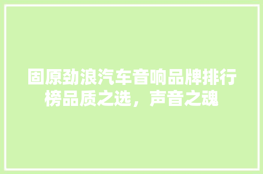 固原劲浪汽车音响品牌排行榜品质之选，声音之魂  第1张