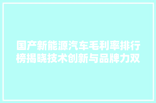 国产新能源汽车毛利率排行榜揭晓技术创新与品牌力双管齐下，行业龙头崭露头角  第1张