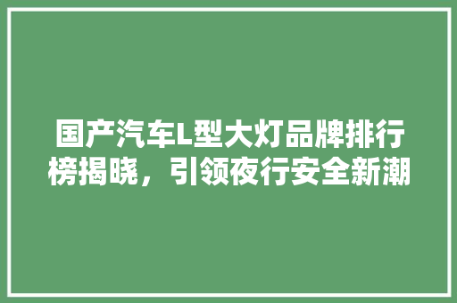 国产汽车L型大灯品牌排行榜揭晓，引领夜行安全新潮流