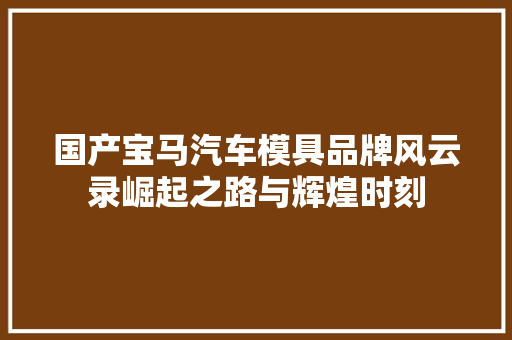国产宝马汽车模具品牌风云录崛起之路与辉煌时刻