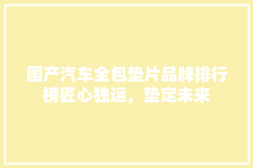 国产汽车全包垫片品牌排行榜匠心独运，垫定未来