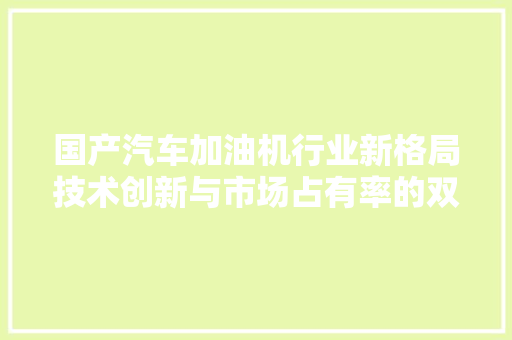国产汽车加油机行业新格局技术创新与市场占有率的双重提升
