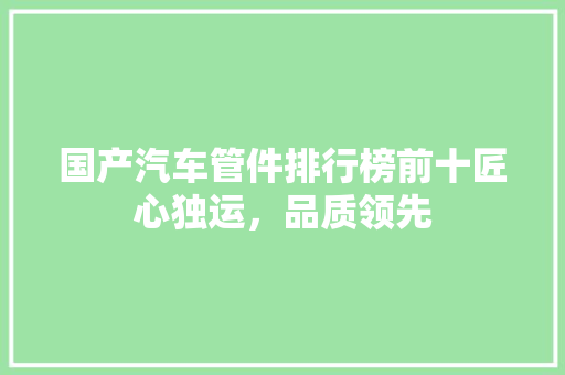 国产汽车管件排行榜前十匠心独运，品质领先  第1张