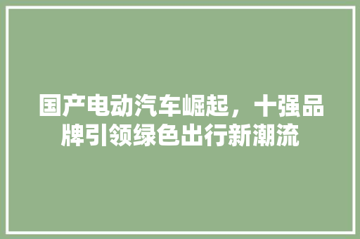 国产电动汽车崛起，十强品牌引领绿色出行新潮流