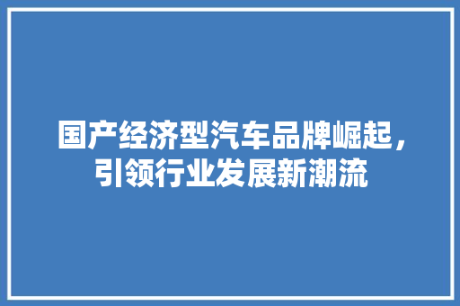 国产经济型汽车品牌崛起，引领行业发展新潮流