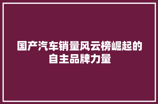 国产汽车销量风云榜崛起的自主品牌力量