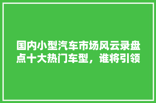 国内小型汽车市场风云录盘点十大热门车型，谁将引领未来潮流