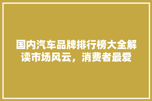 国内汽车品牌排行榜大全解读市场风云，消费者最爱