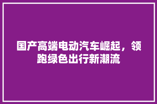 国产高端电动汽车崛起，领跑绿色出行新潮流  第1张