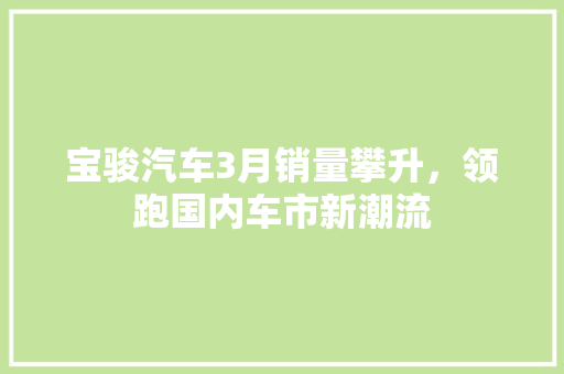 宝骏汽车3月销量攀升，领跑国内车市新潮流