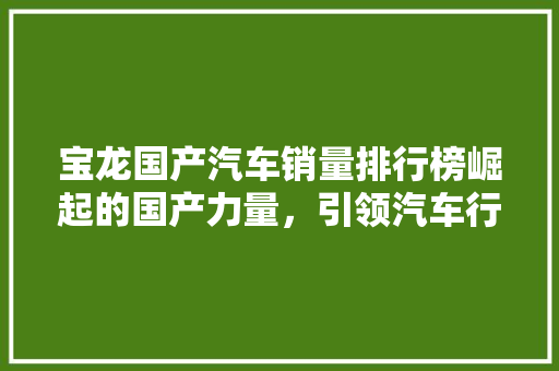 宝龙国产汽车销量排行榜崛起的国产力量，引领汽车行业新潮流  第1张
